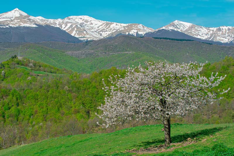 Annibale e i Monti della Laga