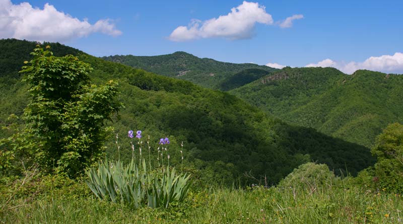 Valle Castellana